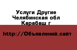 Услуги Другие. Челябинская обл.,Карабаш г.